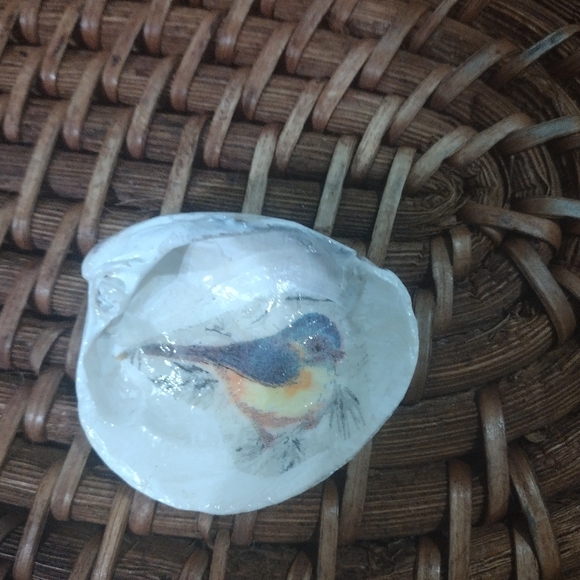 Small decopodgued sea shell - Picture 3 of 3